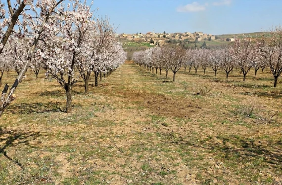Müdürlükten kritik uyarı!