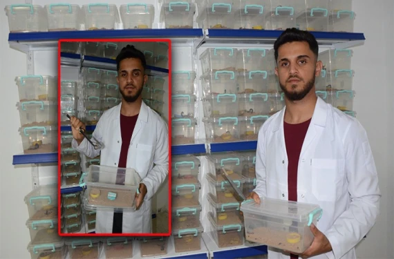 Gramı 3 bin ila 4 bin dolar arası
