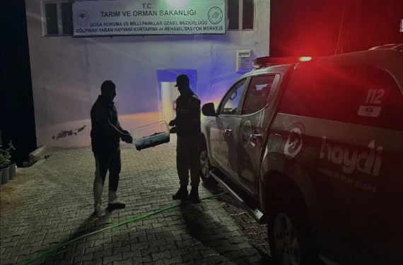 Jandarma bile gözlerine inanamadı!