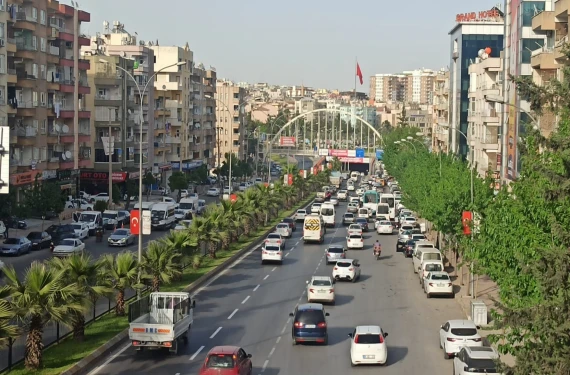Şanlıurfa yollarında yüzlercesi var!