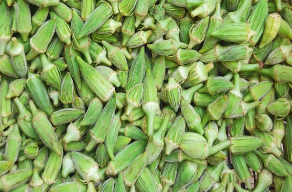 Bamya sezonu bitmiyor