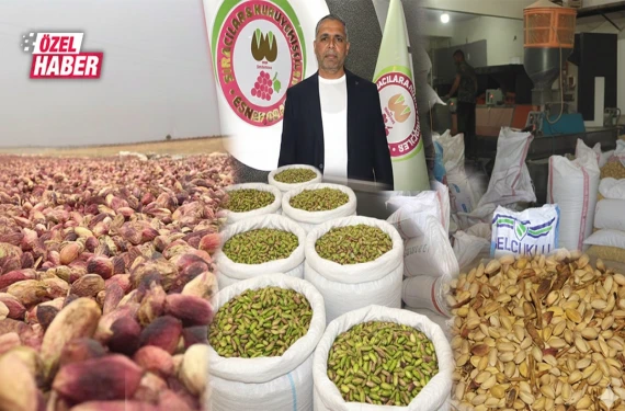 ‘Yeşil altın’ değerine değer katıyor