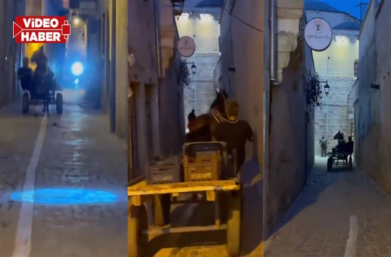 At arabası paniği