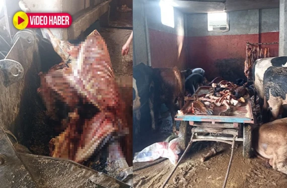 Kebabın başkentinde skandal!