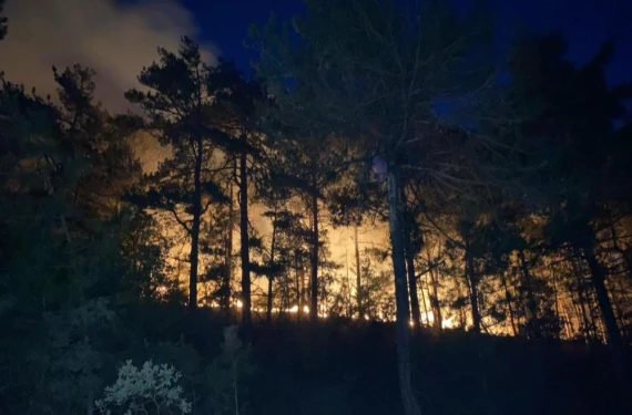 Alevler geceyi aydınlattı