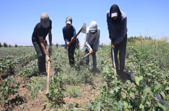 “Yevmiyeler yetersiz…”