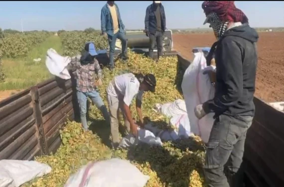 İşçi sayısı 2 katına çıkarılacak