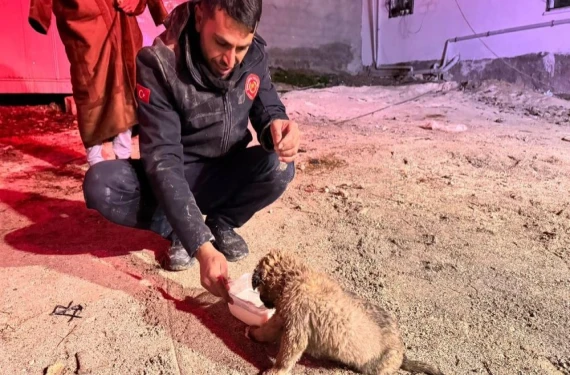 5 saat boyunca pes etmediler