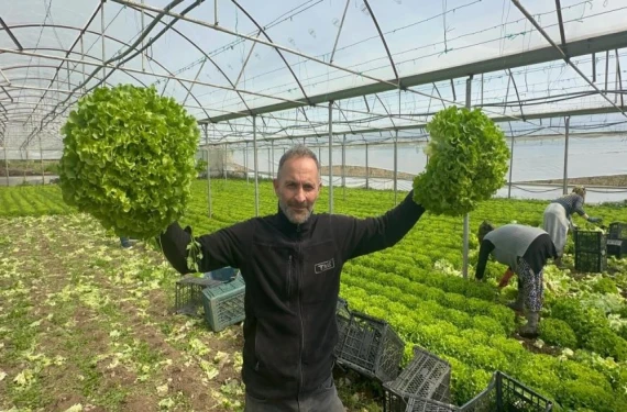 Çiftçi'nin 'kıvırcık' sevinci