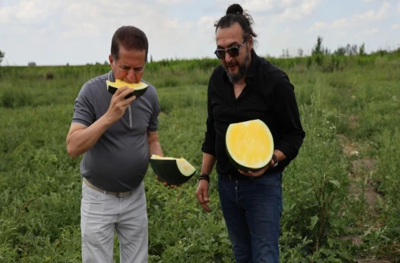 Karpuzda ezber bozan görüntü: