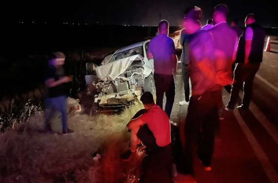 Yaralılar var, çok sayıda koyun telef!