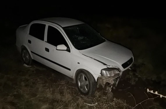Şanlıurfa'da araç şarampole düştü: