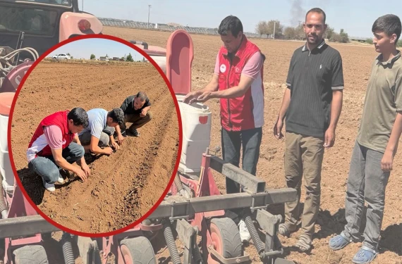 Boş kalan tarlaya öyle bir ürün ektiler ki...