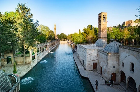 Anlamlı hareket
