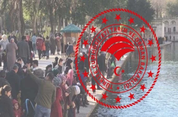 En çok ölüm Urfa’da yaşandı