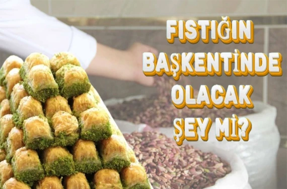 Tane ile satış dönemi başladı...
