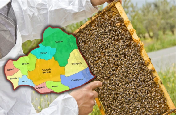 Şanlıurfa ilk sıralarda…