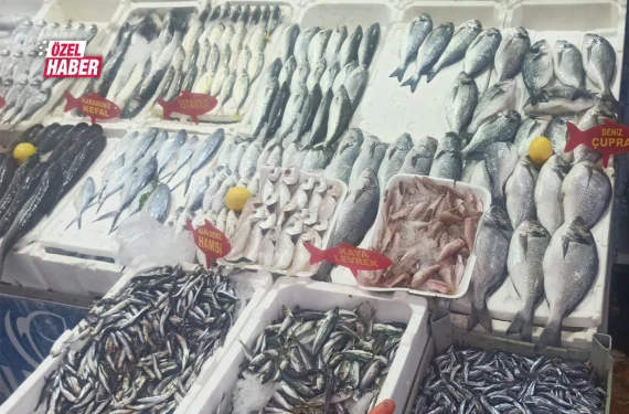 Şanlıurfa balık sezonuna hızlı girdi: