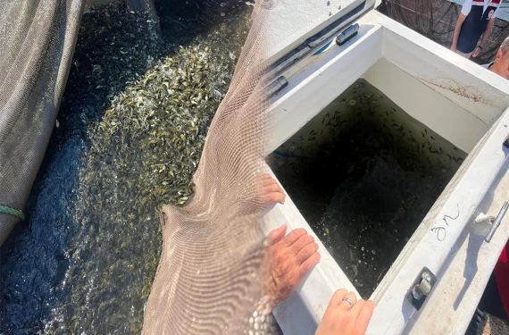 10 milyonu çevre illere dağıtıldı