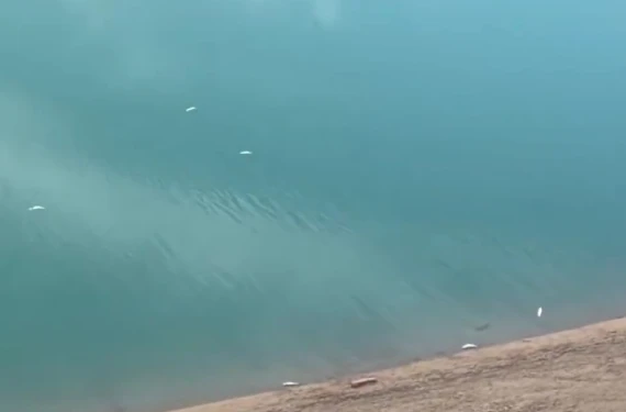 Yetkililere nedenini sordu...