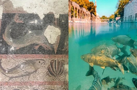 Balıklıgöl ve Balıklı Oda Mozaiği