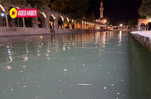 Binler akın edecek ama...