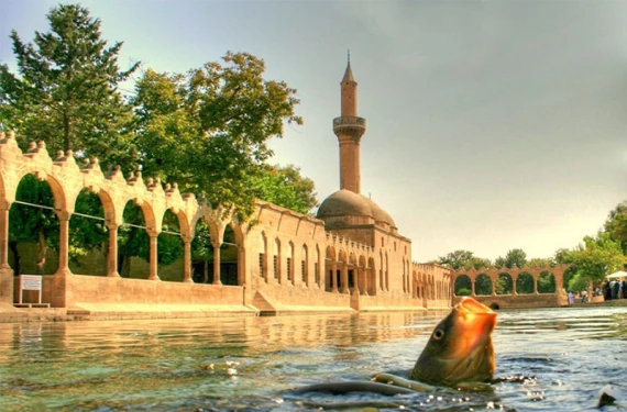 Duyan görmek için Urfa’ya akın ediyor