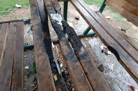 Tepki çeken görüntü!