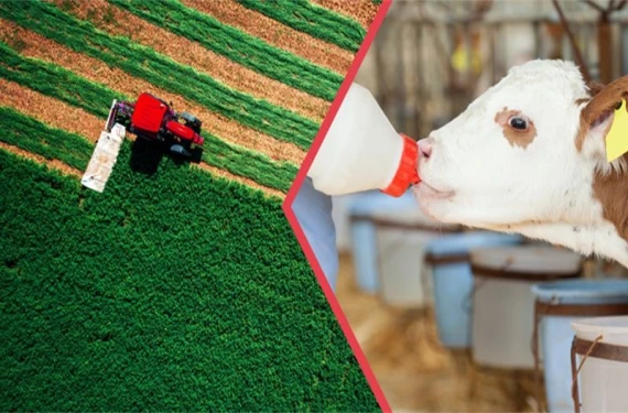 Hesaplarınızı kontrol edin!