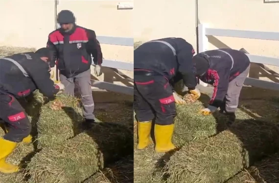 Balyalara taş doldurdular