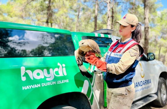 Tedavi altına alındı