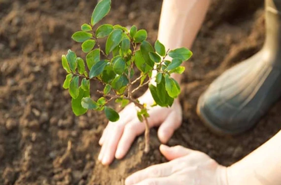 Sadece 50 liradan başlıyor
