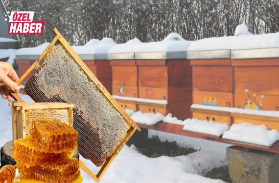 Üreticiler sezondan umutlu