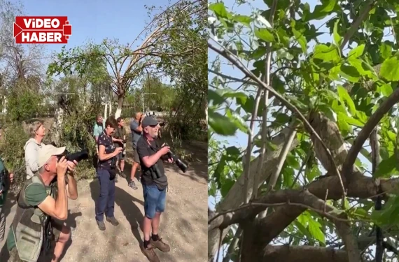 Nadir türleri yerinde incelediler