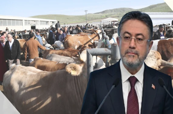 Hayvan sayısında yüzde 60 artış