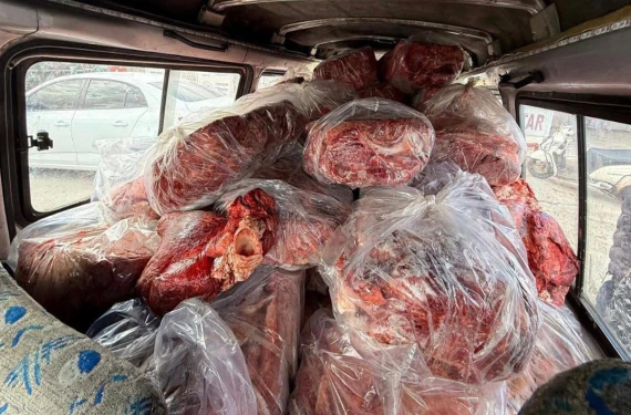 Kamyonetten 1 ton 600 kilo bozuk et çıktı