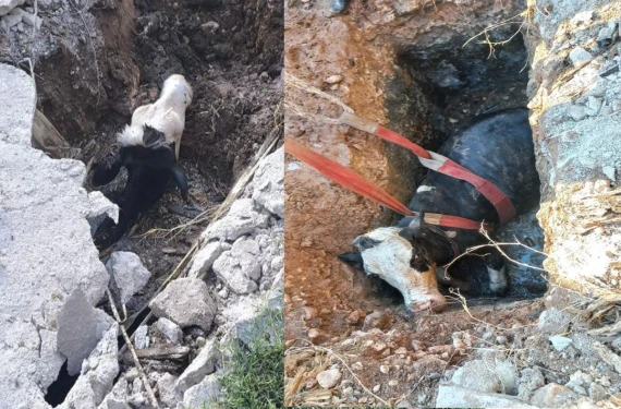 Ekipler seferber oldu