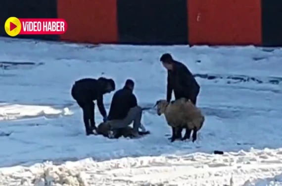 Kale arkasında kurban kestiler