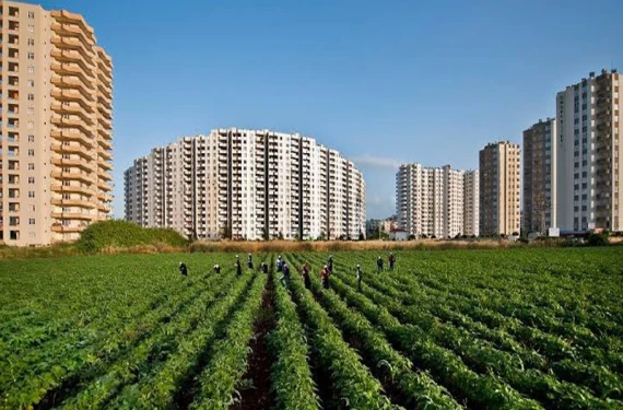 Hızla kaybediyoruz