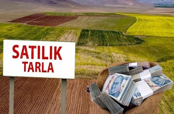 Aralarında Şanlıurfa da var
