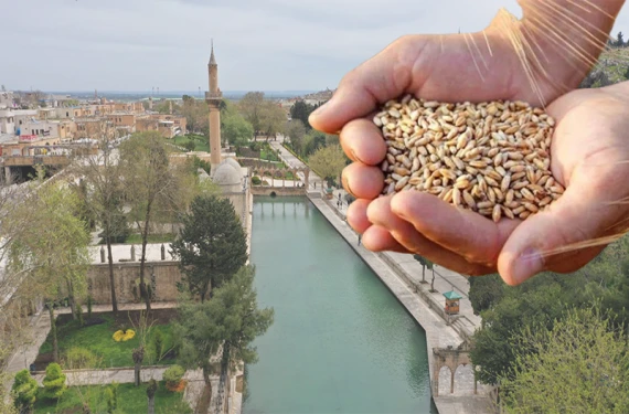 Uluslararası festival başlıyor