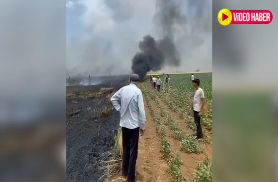 Onlarca dönüm tarla küle döndü!