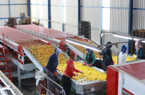 25 ülkeye ihracat yapıyordu!