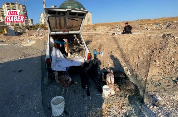 Urfa usulü pazarlama!