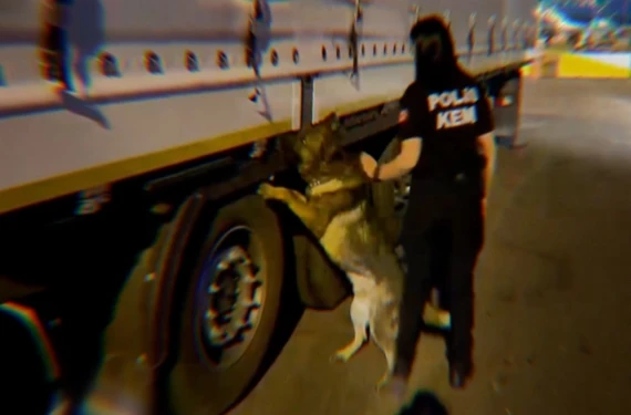 935 şüpheli tutuklandı