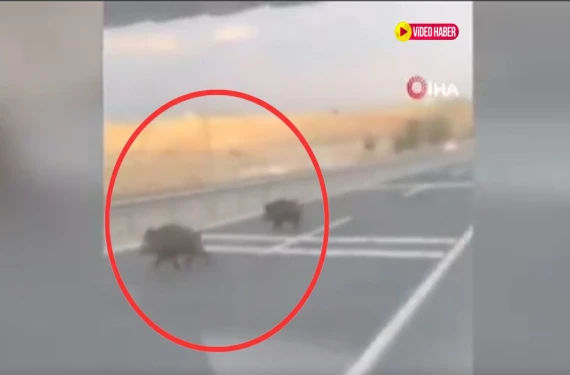 Bir anda yola çıktılar!