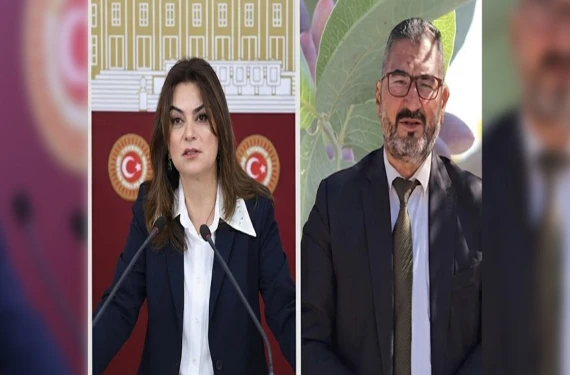 “Temsilcimiz değiller”