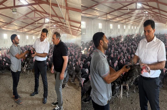 Doğal ortamda yetiştiriliyor, sofralara ulaşıyor