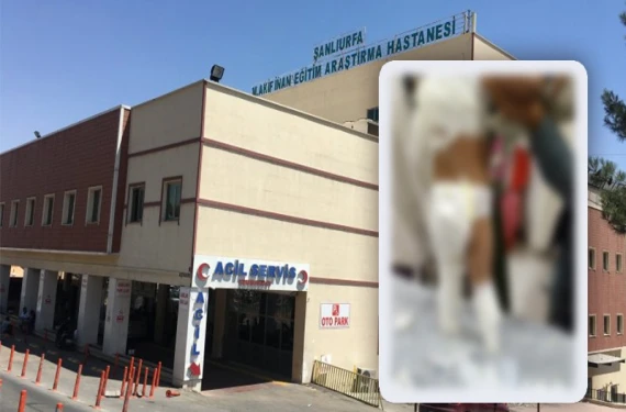 Şanlıurfa’da korkutan olay!