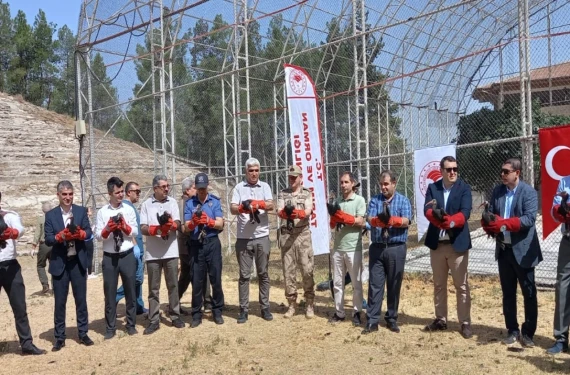 Şanlıurfa’da 30 tanesi doğaya bırakıldı